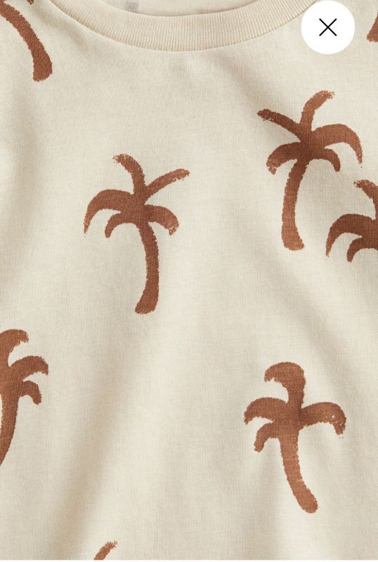 Футболка H&M на 2-4 / 4-6 / 6-8 років бежева